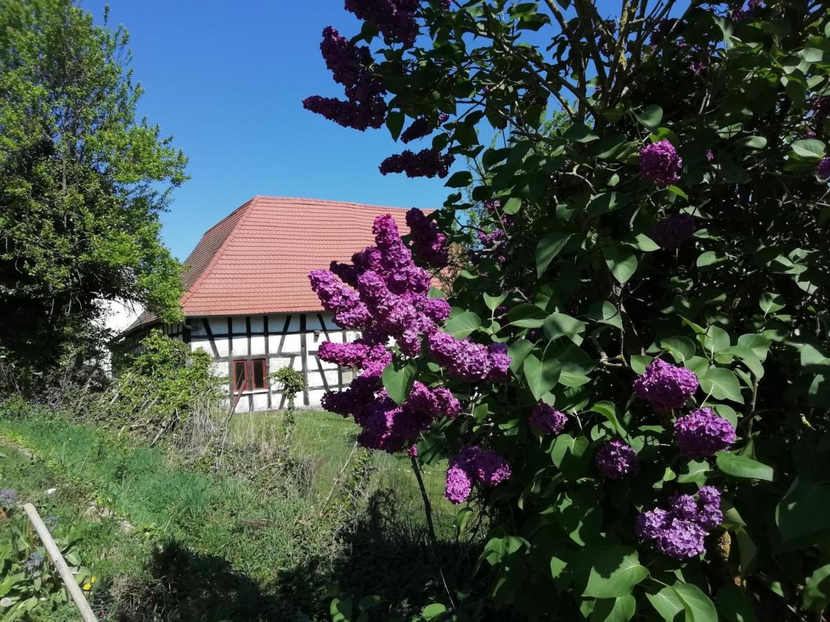 Gite Rue De L'Ange Hunspach Buitenkant foto
