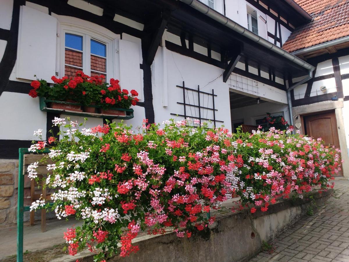 Gite Rue De L'Ange Hunspach Buitenkant foto